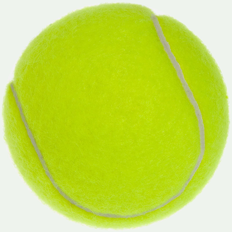 pelota